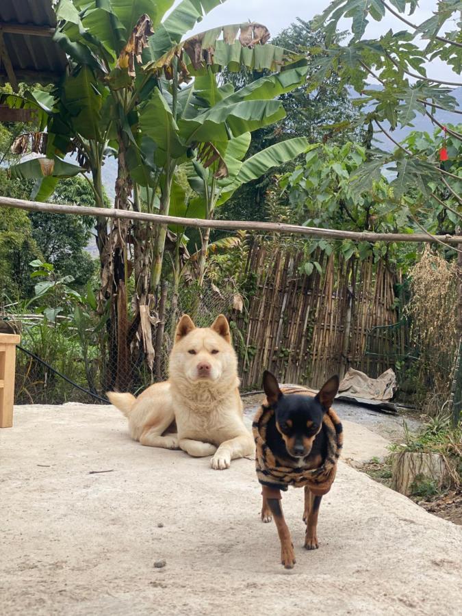 Homie House Thien Huong - Traditional Home Dong Van  Luaran gambar